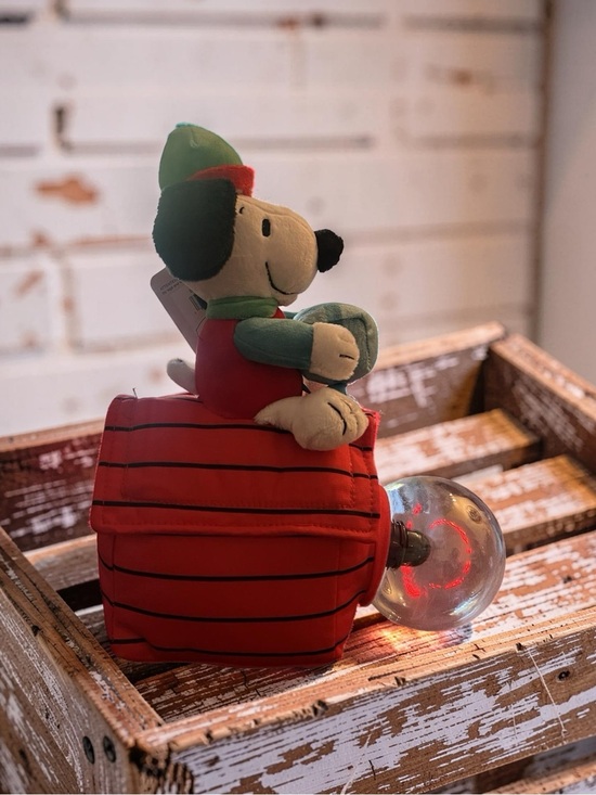 Peanuts Other - Peanuts Plush Snoopy Dog Toy in Red and Green with Light-Up Ball
